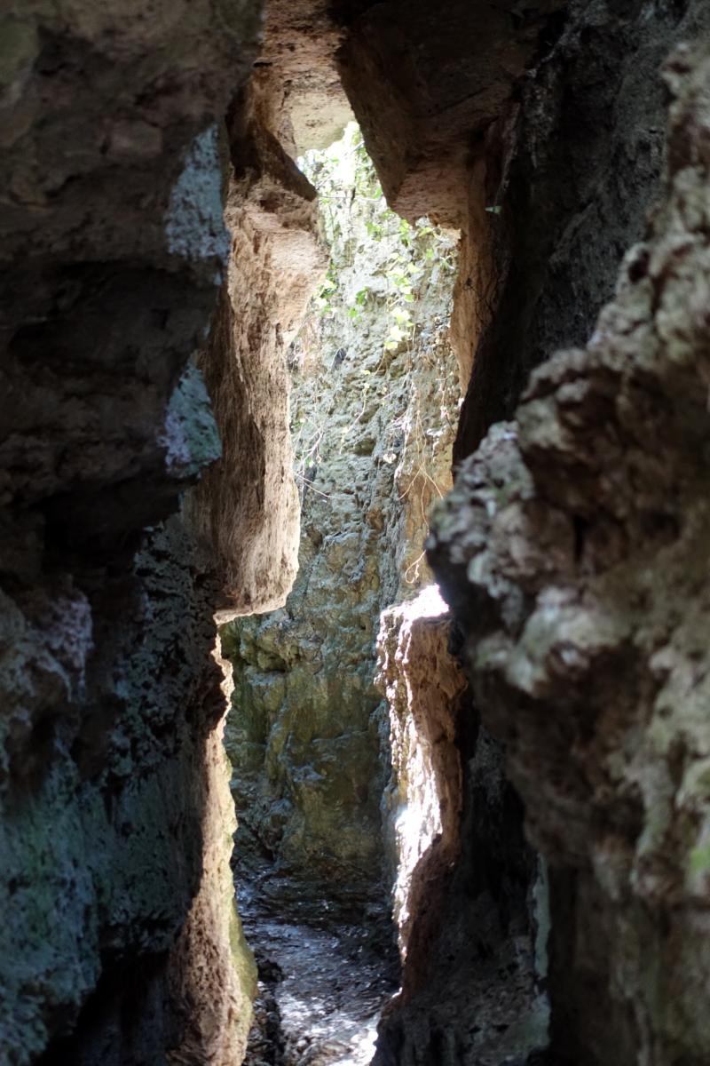 Sant Patllarí i les Estunes (Estany de Banyoles) dimecres 15 d'abril 9